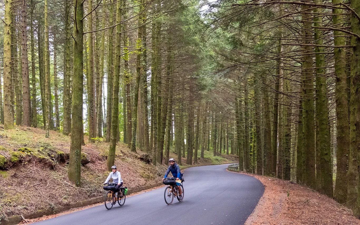 Ciclista lungo la Ciclovia dei Parchi della Calabria, tra boschi e montagne.